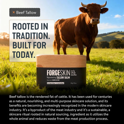 Forge Skin Beef Tallow Balm Moisturizer for Men Skin Care - Face + Body Wrinkle Defense, Hydration Cream - Natural Skincare Lotion (1.7 OZ)